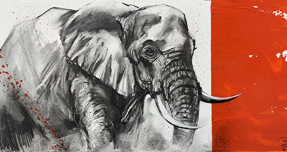 Elephant on Red